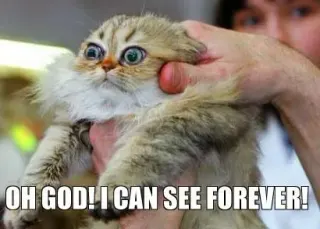 Oh God! I Can See Forever! meme card, rare rarity