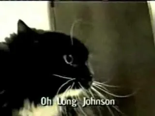 Oh Long Johnson meme card, epic rarity