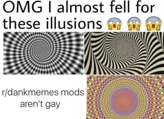 OMG I Almost Fell For These Illusions meme card, common rarity