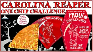#OneChipChallenge / One Chip Challenge meme card, common rarity