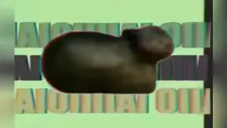 Oo Ee A E A Cat Remixes meme card, rare rarity