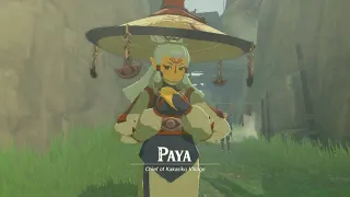 Paya (Zelda) meme card, common rarity