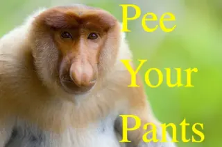 Carte meme Pee Your Pants, rareté commune