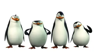Penguins Of Madagascar meme card, common rarity