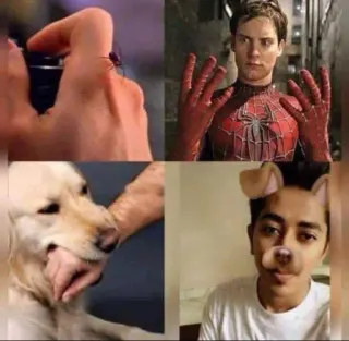 Peter Parker's Spider Bite meme card, common rarity