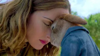 Peter Rabbit Head Touch meme card, common rarity