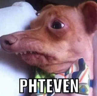 Phteven / Tuna the Dog meme card, epic rarity