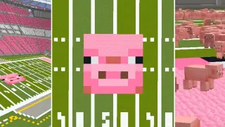 Pig State meme card, common rarity