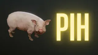 Pih (Video Game) meme card, common rarity