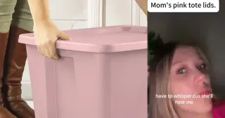 Pink Tote Lid Moment / Pink Tote Mom meme card, common rarity