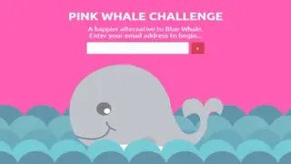 Pink Whale Challenge meme card, common rarity