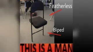 Plato's Man / Featherless Biped meme card, common rarity