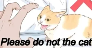 Please Do Not The Cat meme card, epic rarity