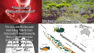 Please Let Me Be Born In X / Niche Ecology Posting meme card, common rarity