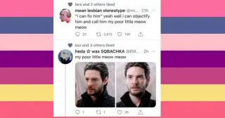 Carte meme Poor Little Meow Meow, rareté rare
