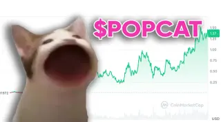 Popcat SOL (Meme Coin) meme card, common rarity