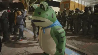 Portland Frog meme card, common rarity