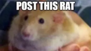 Carte meme Post This X, rareté commune