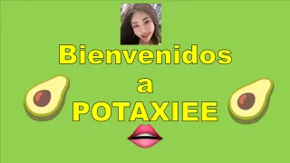 Potaxie meme card, common rarity