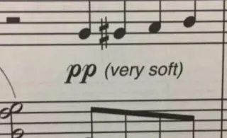 PP (Very Soft) meme card, common rarity