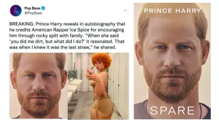 "Prince Harry Reveals" Parodies meme card, common rarity