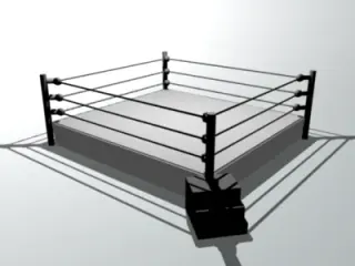 Professional Wrestling meme card, rare rarity