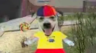 Propeller Hat and Lollipop Dog meme card, common rarity