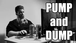 Pump and Dump meme card, common rarity