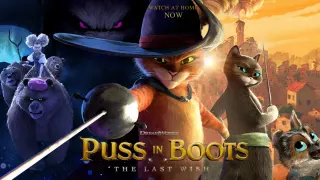 Puss in Boots: The Last Wish meme card, common rarity