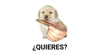 ¿Quieres? meme card, epic rarity