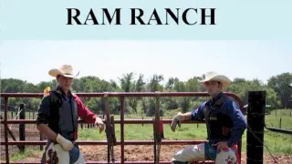 Ram Ranch meme card, epic rarity