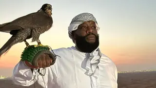 Carte meme Rick Ross Holding a Falcon in the Desert, rareté commune