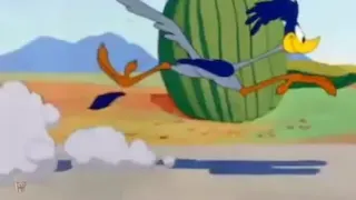 Road Runner (Beep Beep) and Wile E. Coyote meme card, rare rarity
