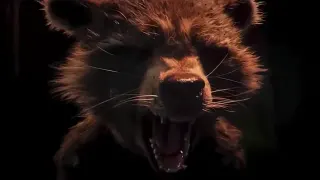 Rocket Raccoon Crying meme card, common rarity
