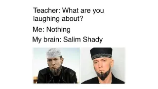 Salim Shady meme card, common rarity