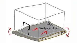Sandpaper Floor Room meme card, common rarity