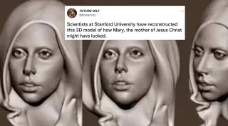 Scientists Have Reconstructed This 3D Model meme card, common rarity