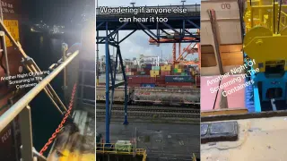 Open the Containers meme card, common rarity