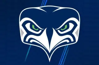 Seattle Seahawks Logo meme card, common rarity