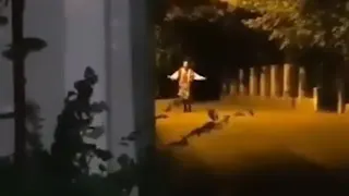 Carte meme Serbian Dancing Lady, rareté rare
