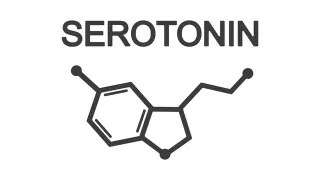 Serotonin meme card, common rarity