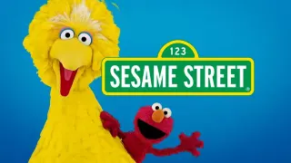 Sesame Street meme card, common rarity