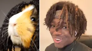 Carte meme Shake Your Dreads, rareté commune