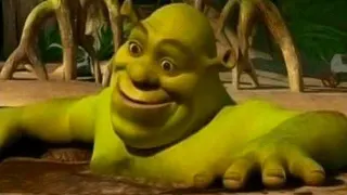 Carte meme Shrek in a Mud Bath, rareté commune
