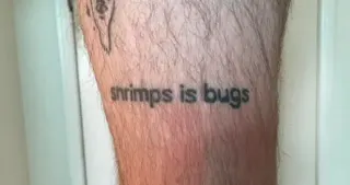 Shrimps Is Bugs meme card, rare rarity