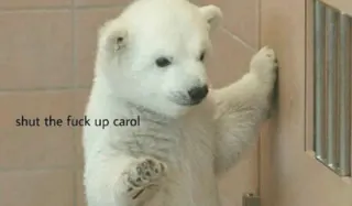 Shut Up, Carol meme card, common rarity