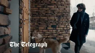 Siberian Husky Russian Propaganda meme card, common rarity