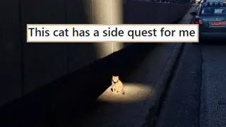 Side Quests (Slang) meme card, common rarity
