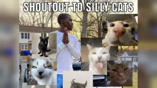 Silly Cats meme card, common rarity