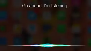 Siri, What's My Name meme card, common rarity